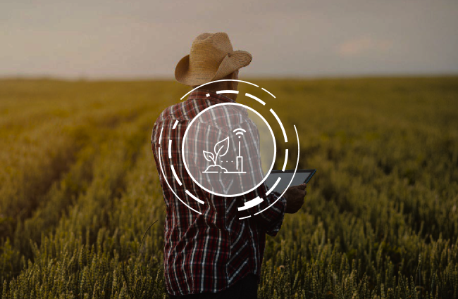 Image of Farmer using his smart device to analyse the crop. MAGDA will exploit the untapped potential of assimilating datasets, into very high-resolution weather forecasts.